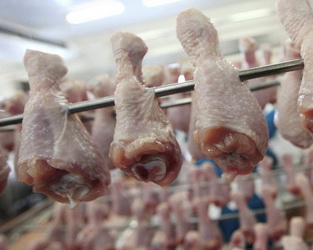 МХП відправить на експорт близько 170 тис. тонн курятини